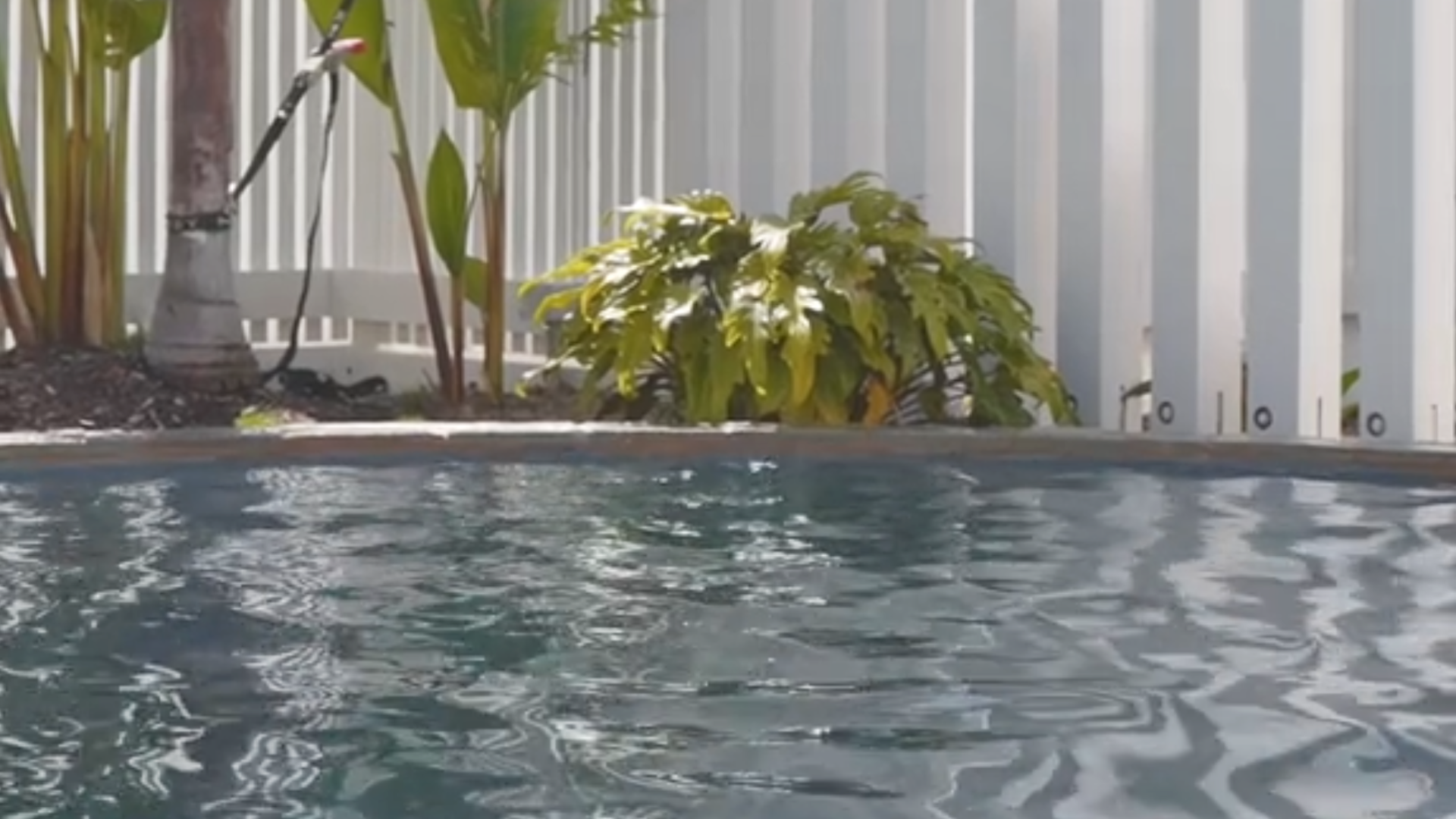 Why Prefab Pools Are Revolutionizing American Backyards?